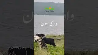 Khabeki Lake, Soon Valley, Khushab, Punjab, 