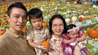 Hoạt Động Mùa Thu Phổ Biến. Đi Thăm Vườn Bí Ngô - Pumpkin Patch