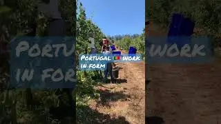#trending