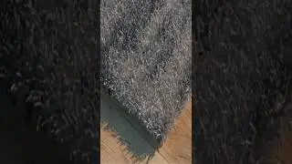 Vray Fur  in 3ds Max - Vray Hair and Fur in 3ds Max #grand_skills