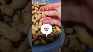 🎵🎶 햇땅콩 삶아요 / Boil peanuts #시골텃밭_햇땅콩#맛있어