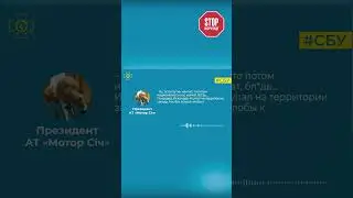 Директор 