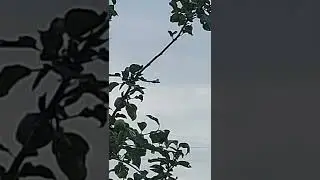 Я бы в летчики пошел, пусть меня научат ...