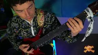 BERRIED ALIVE | LIME SCENE