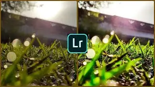 Nature Photo Editing In Lightroom | Mobile Editing Tutorial | Tech With Hamza