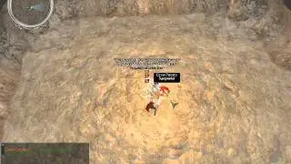 Neverwinter Nights 2, Build 5, Race Drow, Classes Ranger 17 Monk 11 Assassin 1 Shadowdancer 1