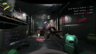 the most insane few minutes of my life