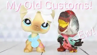 Looking at my old LPS customs!