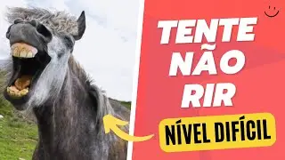 46 MINUTES OF FUNNY MOMENTS - TRY NOT TO LAUGH #funny