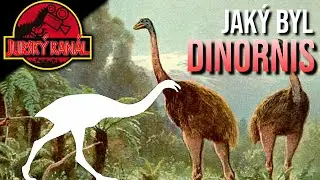 Dinornis: Pták Moa | Atlas Druhů #32 | Jurský Kanál
