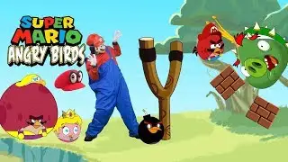 Real life mario in Angry bird World-bowser12345