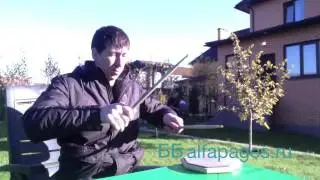 Тренируем парадидл