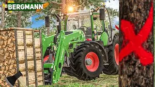 LS19 HOF BERGMANN 