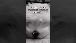 #игра #интересно #роблокс #интересно #интересно #танец #furry #рек #рекомендации #рекомендации