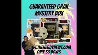 I spent $280 on Nerdy Newt Mystery Box...