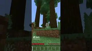 Minecraft Meme #shorts #minecraft #minecraftmemes #minecraftshorts