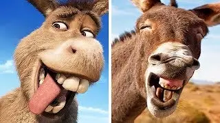14 animaux qui ressemblent à des personnages de dessins animés