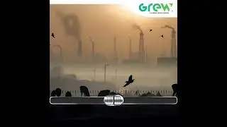 Embrace Sustainable Excellence: Elevate Your Business with GREW's Cutting-Edge Solutions