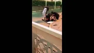 ##جديد فضائح بنات الخلبج 😂😂😂😁سكراناتscandal grill##