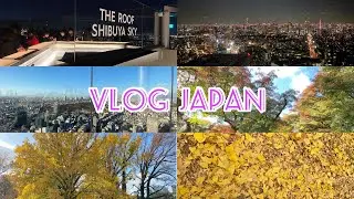 Vlog Japan | เที่ยววันหยุด | ใบไม้เปลี่ยนสี | ชิบุย่าสกาย shibuya sky |
