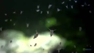 Dünyayı Birde Bu Hızda İzleyin (Ağır Çekimler) Slow Motion guycp 2016 UPSS Slow Motion