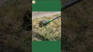 Stand-up weed puller