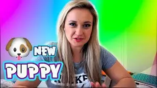 Getting a new puppy!