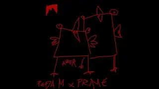 Pedja Migrant X PRIME - AWER