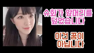 슈화 덮머리