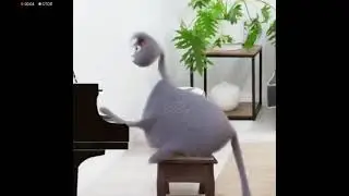 Видео без звука