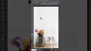 How To Add An Object Using Ai Generated Photoshop 2024
