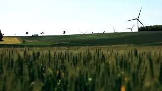Clip Ensemble