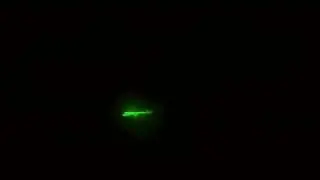 new neon animation Logo black screen