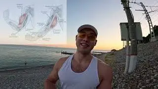 КАК НАКАЧАТЬ РУКИ БАЗУКИ?🔥