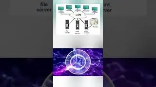 what does LAN stand for | Full form of LAN 