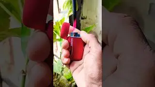 maroon Lighter #alaflame #tranding #viral #youtubeshorts