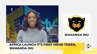 Africa Launches Its First Meme Token - WAKANDA INU ($WKD)