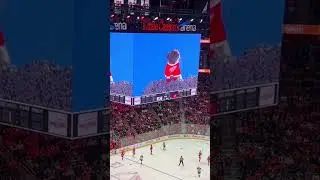 Detroit Red Wings EEEEOOOO 🐹 #redwings #freddiemercury
