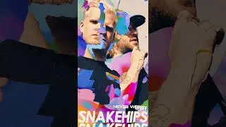 MadeinTYO featured on Snakehips' New Album - never worry
