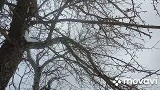 3 марта 2023 г. минутка нашей весны