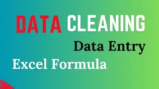 Data Cleaning l Data Entry l Excel Data Entry l Freelancing with Data Entry