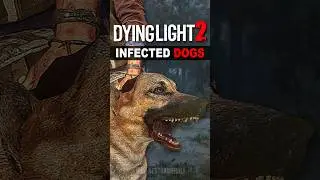 Infected Dogs In Dying Light 2...