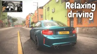Forza Horizon 5: Relaxing Driving - How to Drive Like a Pro in M2 BMW (Steering Wheel)