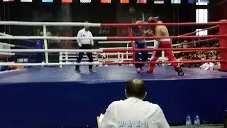 Кубок России по кикбоксингу