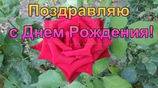 Красивое поздравление с ДНЕМ РОЖДЕНИЯ!