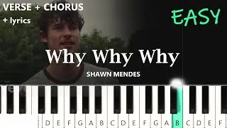 Shawn Mendes - Why Why Why  ~  EASY PIANO TUTORIAL + lyrics