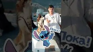 Что там с командой гуляй? Как ее приучать и что она значит? Пока! 👋