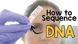 Life in the Lab:  A DNA sequencing pipeline
