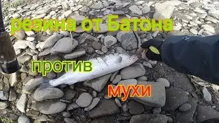 Ловля симы на резину от Батона и мушку .
