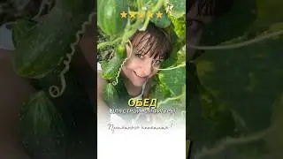 #обед #овощи #шашлык #еда #studioharitonova #худеемвместе #обедпп #обеды #огород